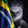 ACORDA BRASIL ESSA É A HORA!🇧🇷2️⃣2️⃣'s profile picture