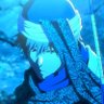 Profilbild von BlueTC