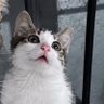 helin profil fotoğrafı