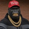 Profilbild von Dindu Ape