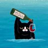 Фото профиля CatVibeCoder猫姐