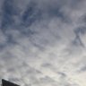 ババチさん 的头像