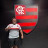Raissa Arcanjo's profile picture