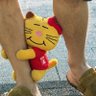 みきてぃ💛増田担💛 profil fotoğrafı