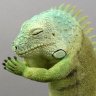 Фото профиля れがれが