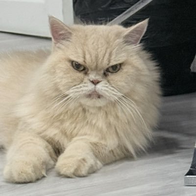 มันจะมีอยู่อินึง's profile picture