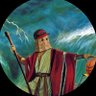 Profilbild von moses mcbasketball