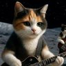 Фото профиля Mike猫