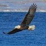 Фото профиля Eagle
