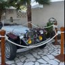 وجدان مدني's profile picture