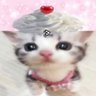 Profilbild von кคՇђєгเภє⚢︎🐚