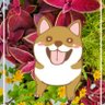 Profilbild von 莉お花