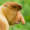 خاموشفکر profil fotoğrafı