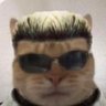Profilbild von stalker 💿