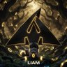 Фото профиля Ascend Liam