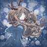 Фото профиля 🩵 Noelle Holiday ❄️
