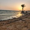 Фото профиля هلال العتيبي