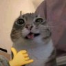 Profilbild von raärchétype