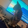 kero profil fotoğrafı