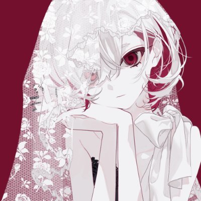 dongdang's profile picture