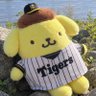 Profilbild von とまこま🐯➡NEXT10/4
