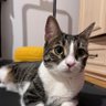Delal profil fotoğrafı