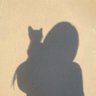 Фото профиля ₊˚⊹ ɨʍʍʏ 🐱•°♡`