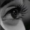 .شيهانه🕊️'s profile picture