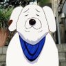 ㄘゃーゑん's profile picture