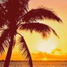Фото профиля 🩷🌴🩷