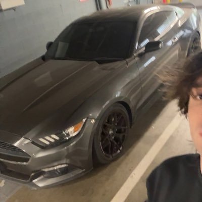 andrefivem's profile picture