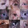 liwily profil fotoğrafı