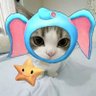 princess cèlla's profile picture