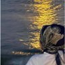 Birsen2121's profile picture