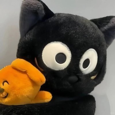 Vaclav's profile picture