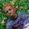 Profilbild von Officiallandlord