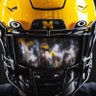 Dewolverine 〽️'s profile picture