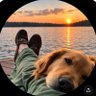 Switty's profile picture