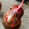 kenmark's profile picture