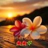 Фото профиля BILLAL