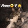 Uhhhhidk profil fotoğrafı