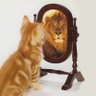 🌴👸🏼🛋️ profil fotoğrafı