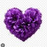 RiyaBTS's profile picture