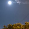 🌙 profil fotoğrafı
