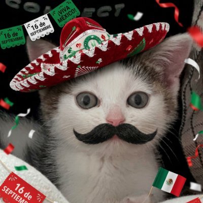 FachoFren's profile picture