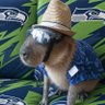 rigby's profile picture