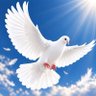 Profilbild von مُرْتَحِلٌ 🤍