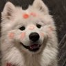 雨豪's profile picture