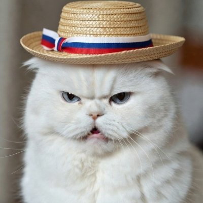 Heleno Jado's profile picture
