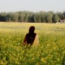 Фото профиля yams